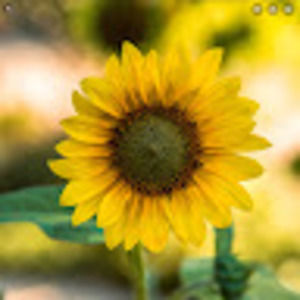 Meet your Posher, Destine